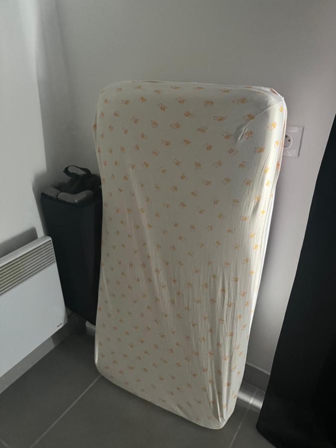 Charmant Appartement Climatise Quartier Las Cobas Perpinhã Exterior foto